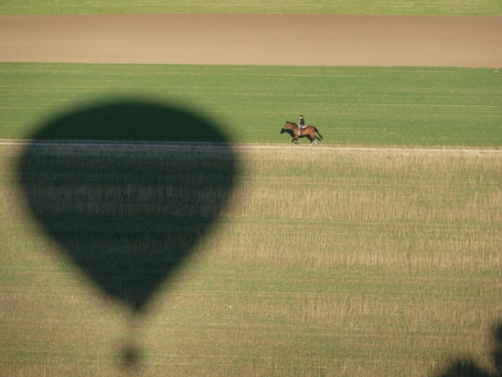 Ballonschatten auf einem Feld mit daneben laufenden Pferd